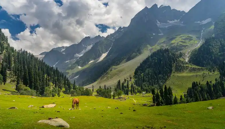 kashmir-valley-retreat